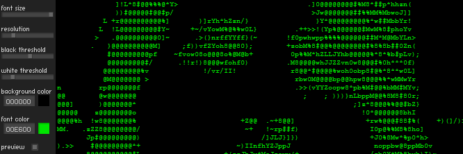 ascii webcam